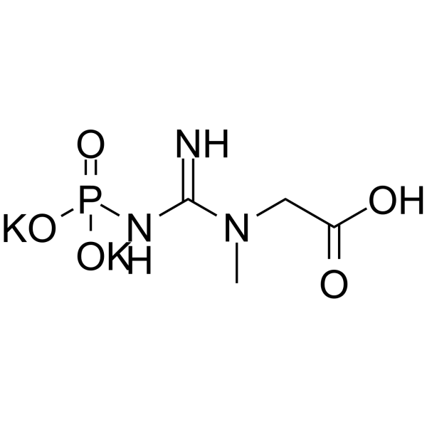 Phosphocreatine dipotassium 18838-38-5